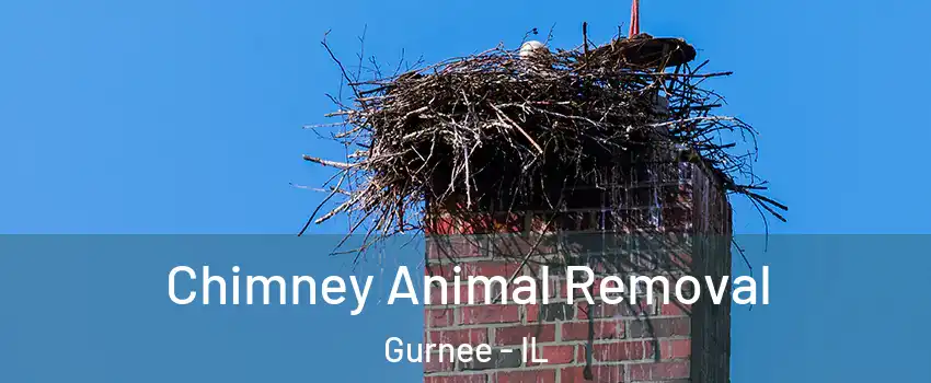  Chimney Animal Removal Gurnee - IL