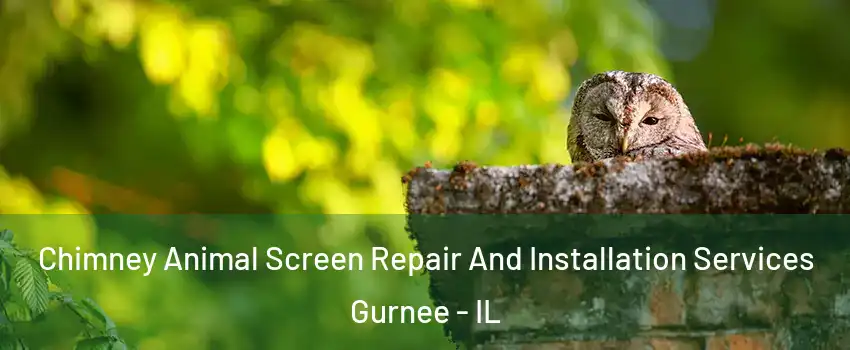  Chimney Animal Screen Repair And Installation Services Gurnee - IL