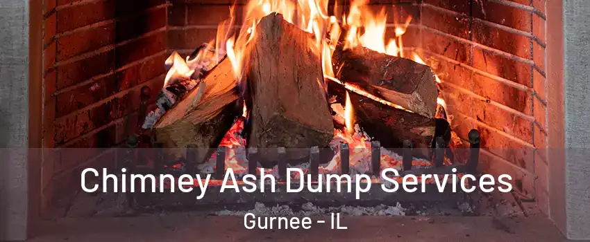  Chimney Ash Dump Services Gurnee - IL