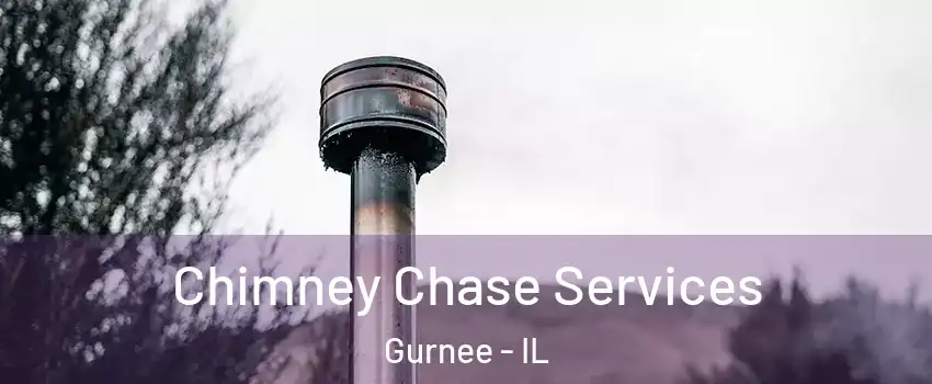  Chimney Chase Services Gurnee - IL