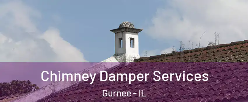  Chimney Damper Services Gurnee - IL