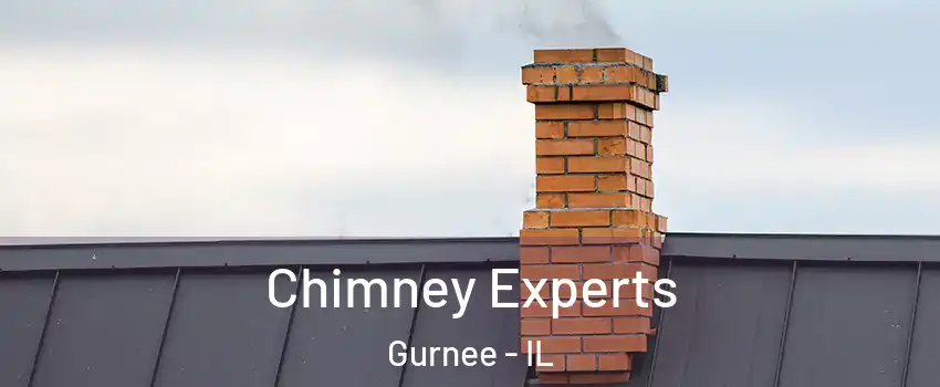  Chimney Experts Gurnee - IL