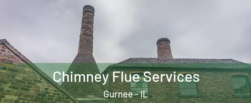  Chimney Flue Services Gurnee - IL