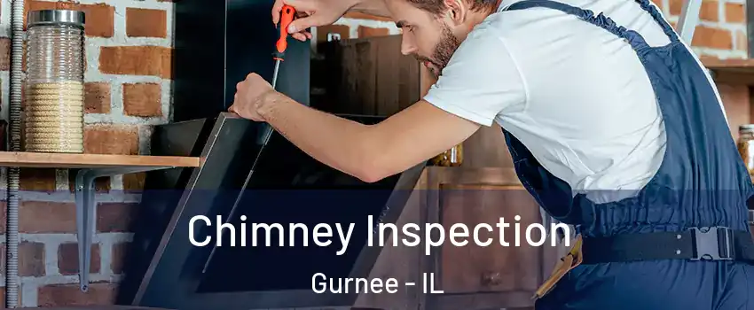  Chimney Inspection Gurnee - IL