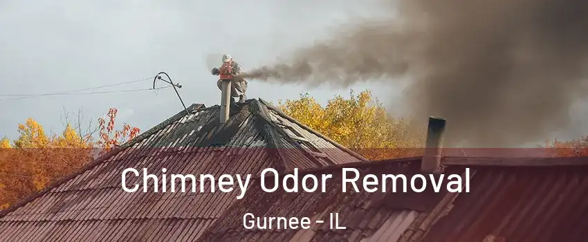  Chimney Odor Removal Gurnee - IL
