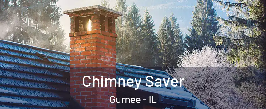  Chimney Saver Gurnee - IL