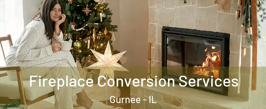  Fireplace Conversion Services Gurnee - IL