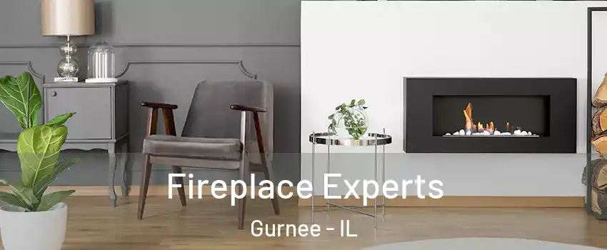  Fireplace Experts Gurnee - IL
