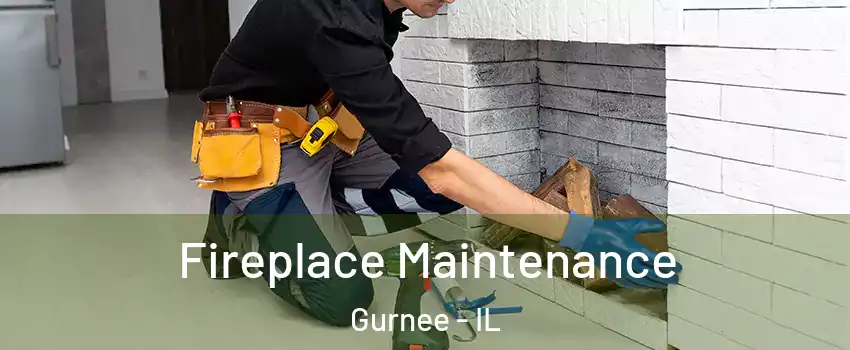  Fireplace Maintenance Gurnee - IL