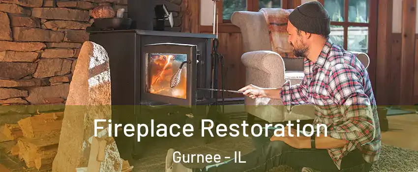  Fireplace Restoration Gurnee - IL
