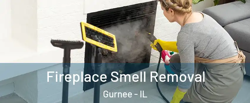  Fireplace Smell Removal Gurnee - IL