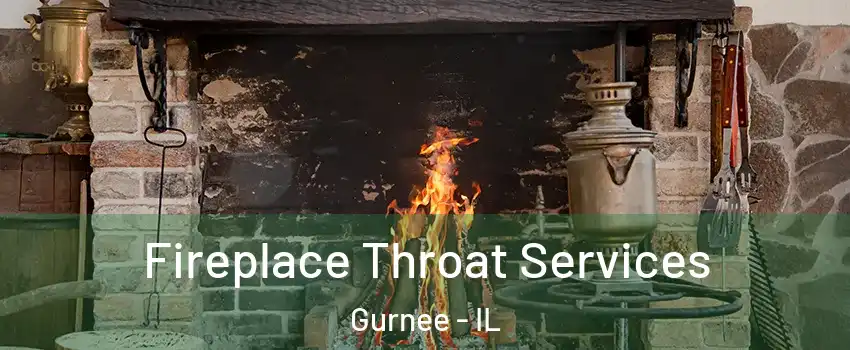  Fireplace Throat Services Gurnee - IL
