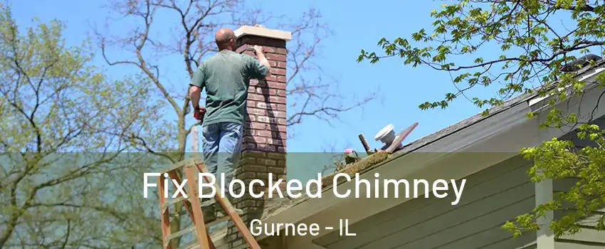  Fix Blocked Chimney Gurnee - IL