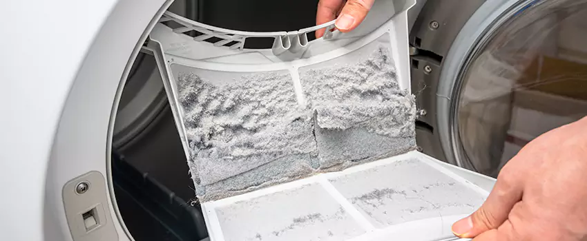 Best Dryer Lint Removal Company in Gurnee, Illinois