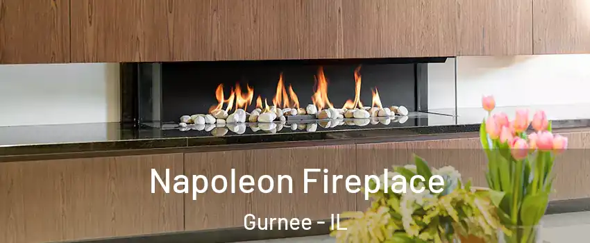  Napoleon Fireplace Gurnee - IL