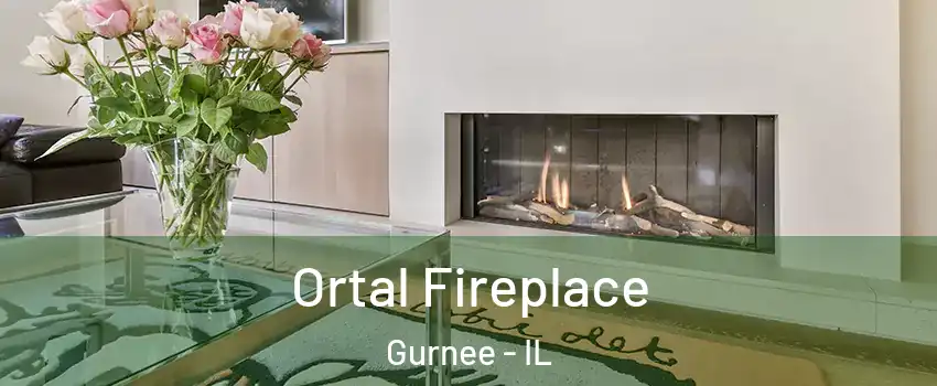  Ortal Fireplace Gurnee - IL