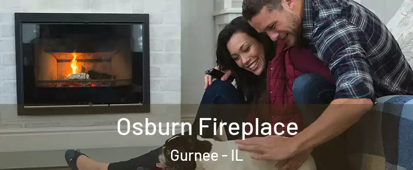  Osburn Fireplace Gurnee - IL